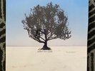 Shiny Toy Guns We Are Pilots Vinyl Record