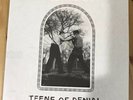 Car Seat Headrest - Teens Of Denial [Vinyl]