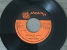 FREDDY McKAY - Peace In The Garden, orig 7” vinyl roots reggae 1973 JA Jaguar