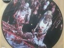 CANNIBAL CORPSE Butchered at Birth Picture LP Vinyl, Deicide, Death