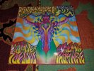 Monterey Pop Festival 67 7lp record Box Set, Vinyl NICE RARE BOX SET