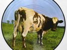 PINK FLOYD ATOM HEART MOTHER  PITCURE DISC LP 33 GIRI RARE