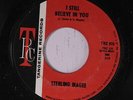 STERLING MAGEE: I Still Believe In You / Tighten Up 45 (Northern Soul R&B)