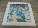 Belly - Star 1993 UK VINYL LP 4AD 1st THROWING MUSES