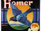 Homer - Grown In U.S.A. LP - Universal Recording Artists - Rare Prog Psych
