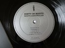 VINYL 2LP - ROOTS CONTROLLER / MISTY IN ROOTS