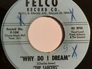 RARE DOO WOP 45 THE SAUCERS WHY DO I DREAM FELCO 2ND PRESS VG++ Mad Mike