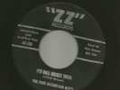 BLUEGRASS ROCKABILLY - PINE MOUNTAIN BOYS- RED BALL ROCKET TRAIN -HEAR- 1961 ZZ