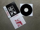 Felt-The Splendour Of Fear LP (Japan) Excellent