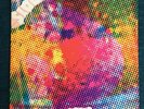 THE LITTER - $100 Fine LP 1968 Psych Fuzz Garage ACID ARCHIVES EX/EX Minneapolis