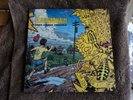 SCATTERBRAIN - Here comes trouble LP.. Signed 1990 Virgin ..
