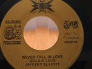 KALIBANOS PUBLISHING JEFFERY ELLIOTT & GOLDIE LOVE  'NEVER FALL IN LOVE' 45 RPM
