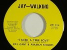 Ray Gant & Arabian Knights 
