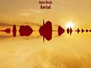 Kate Bush - Aerial 2005 UK First Pressing Vinyl Double Album