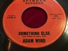 ADAM WIND 
