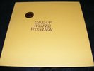 BOB DYLAN Collectors LP GWW Wth TMOQ catalog Insert Great White Wonder GREEN Wax