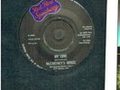 PAUL McCARTNEY WINGS MY LOVE 45 1973