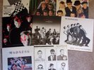 MADNESS 7 LP's + Dance Craze compilation SKA DUB ONE STEP BEYOND Specials