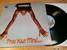 Vinyl LP Funkadelic Free Your Mind Westbound WB 2001
