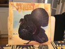 Turkey LP “Wild Turkey”