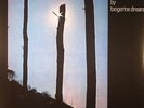 TANGERINE DREAM - Ricochet - Vinyl (LP)