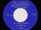 Doo-Wop 45 - Strollers - In Your Dreams - States - VG++ mp3