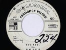 Rockabilly 45 - Ronnie Self - Big Fool/Flame Of Love - Columbia - mp3