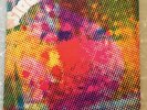 THE LITTER $100 Fine Original Pressing VG++ Hexagon Record HX-681 Psychedelic 