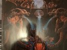 Dismember like an everflowing stream LP 1st press