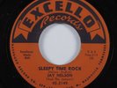 Instrumental R&B Tittyshaker 45 JAY NELSON Sleepy Time Rock EXCELLO HEAR