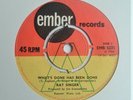 Wild Mod dancer RAY SINGER What's Done Has Been Done/DEMO Ember EMB S231 (1966)