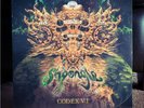 SHPONGLE Codex VI TRIPLE Black VINYL 3LP Limited Edition SEALED
