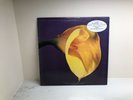 Swans :  The Burning World LP Vinyl UNI Records ?601 USA 1989 Promo Promotional