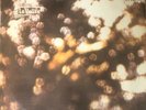 Pink Floyd “Obscured By Clouds” Taiwan Import LP Union TD1151