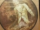 CANNIBAL CORPSE**VILE**Rare**Pic/Picture Disc/LP**Carcass*Cancar*Slayer