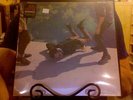 Local Natives Hummingbird LP sealed vinyl + download