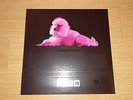 NEU   RAMMSTEIN  PUSSY 7