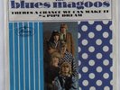 Garage Psych 45 BLUES MAGOOS There's A Chance We..MERCURY promo pic sleeve HEAR