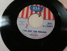 45 RPM l SOUL : Knights