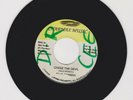 CHARMAX MUSIC/ CHASE THE DEVIL - MAX ROMEO (76 REGGAE ROOTS 7