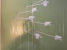 Modest Mouse - Good News For Bad People 12