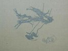 Silversun Pickups Pikul Limited Edition 10