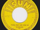 SUN 270 Rockabilly 45 - JIM WILLIAMS - Please Don't Cry Over Me / That Depends