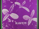 RAVEN: Back To Ohio Blues LP (few cover flakes at corner and along bottom seam