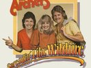 THE ARCHERS - SPREADIN' LIKE WILDFIRE VINYL