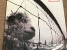 Pearl Jam - Vs  474549-1  EU LP  1st Press 1993 Epic  Vinyl