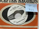 Barbara Ruskin You Cant Blame A Girl For Trying Scepter 12110 Promo VG++ WOL