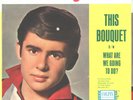 DAVID JONES-(MONKEES)--PICTURE SLEEVE+45--(WHAT ARE WE GOING TO DO?)-PS-PIC-SLV