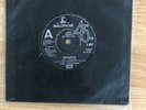PAUL McCARTNEY - Waterfalls RARE UK DEMO 7’ 1980. The Beatles