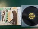 Cosmic Michael After A While vinyl LP  Garage Psysch Private Press